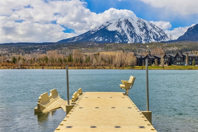 468 Fly Line Dr, Silverthorne, CO 80498 - photo 44