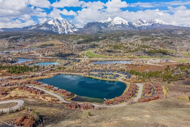 468 Fly Line Dr, Silverthorne, CO 80498 - photo 38