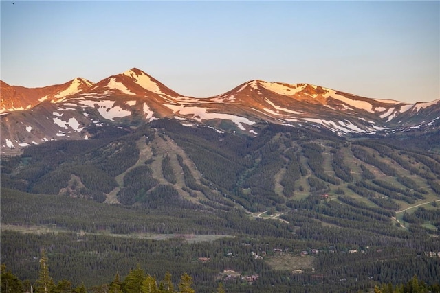 316 N Fuller Placer Rd, Breckenridge, CO 80424 - photo 19