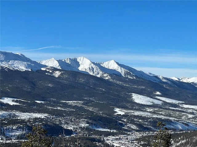 316 N Fuller Placer Rd, Breckenridge, CO 80424 - photo 45