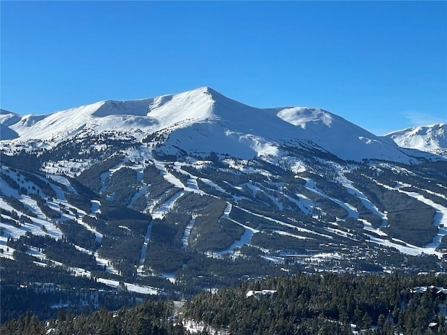 316 N Fuller Placer Rd, Breckenridge, CO 80424 - photo 2