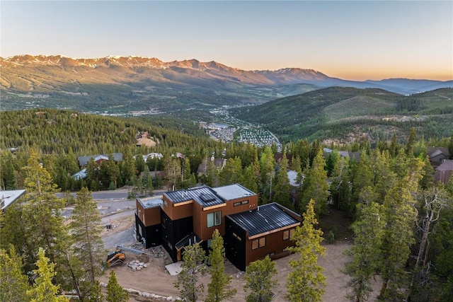 316 N Fuller Placer Rd, Breckenridge, CO 80424 - photo 43