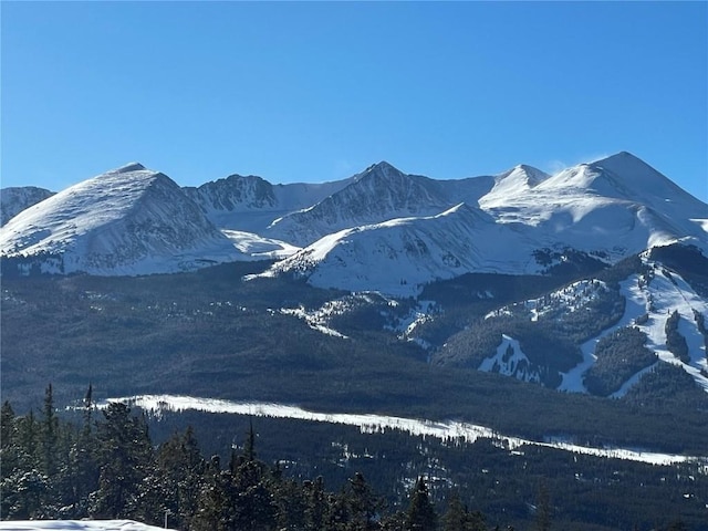 316 N Fuller Placer Rd, Breckenridge, CO 80424 - photo 48