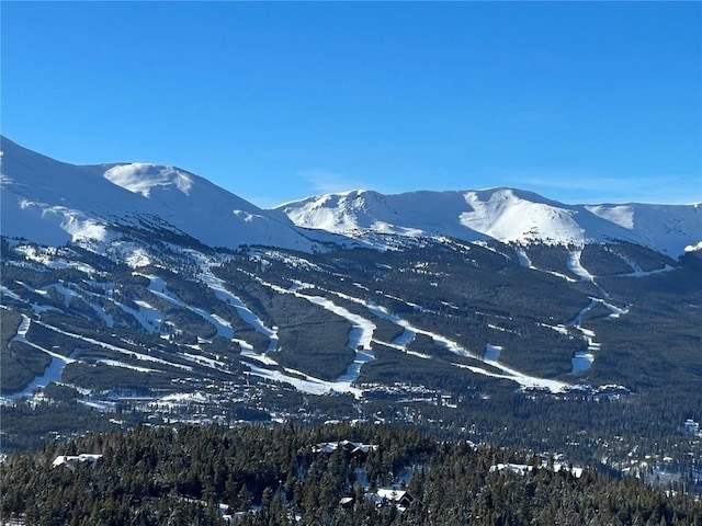 316 N Fuller Placer Rd, Breckenridge, CO 80424 - photo 1