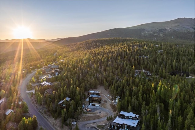 316 N Fuller Placer Rd, Breckenridge, CO 80424 - photo 33