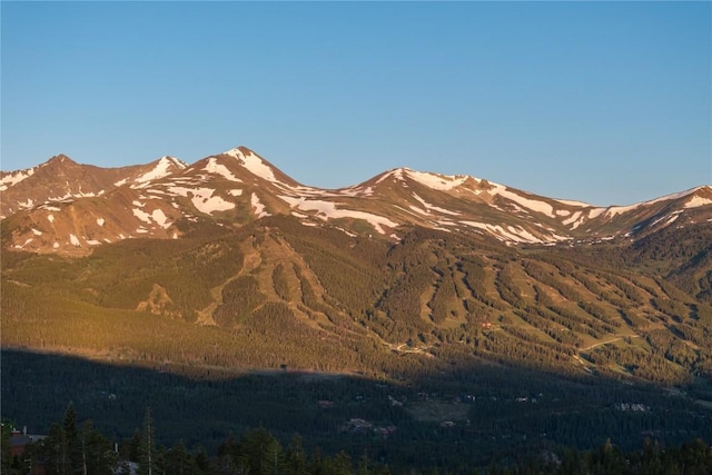 316 N Fuller Placer Rd, Breckenridge, CO 80424 - photo 17
