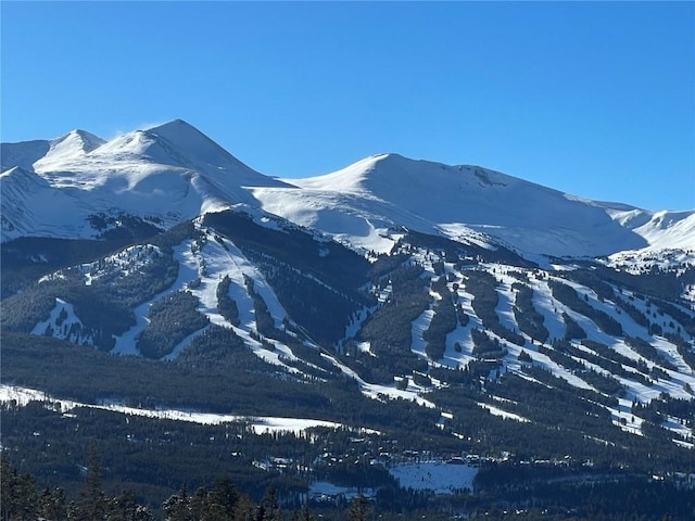 316 N Fuller Placer Rd, Breckenridge, CO 80424 - photo 3