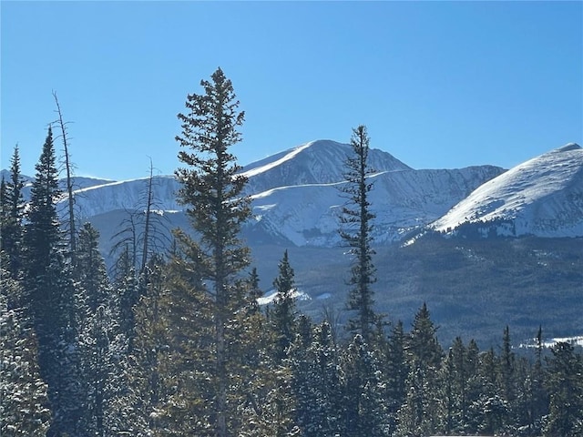 316 N Fuller Placer Rd, Breckenridge, CO 80424 - photo 49