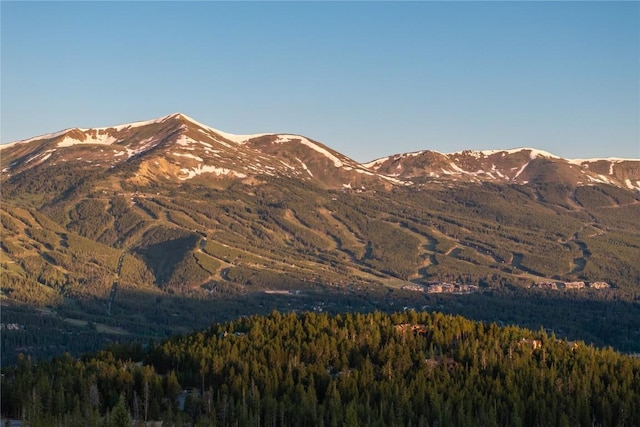 316 N Fuller Placer Rd, Breckenridge, CO 80424 - photo 18