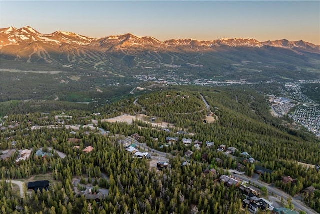 316 N Fuller Placer Rd, Breckenridge, CO 80424 - photo 6