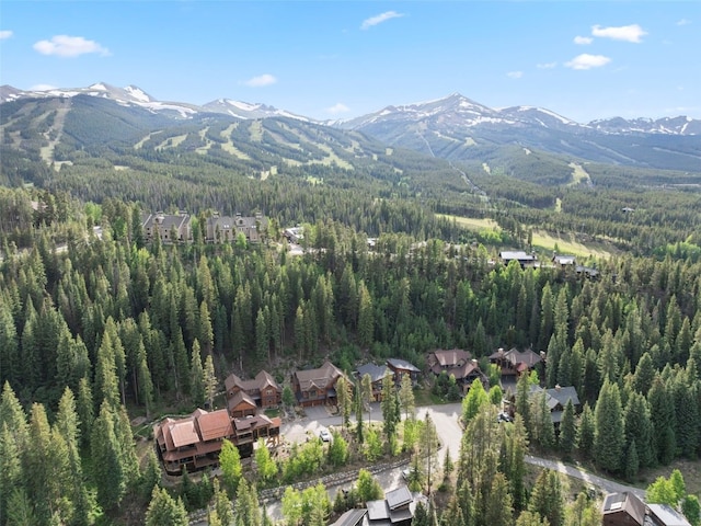 95 Victory Ln, Breckenridge, CO 80424 - photo 5