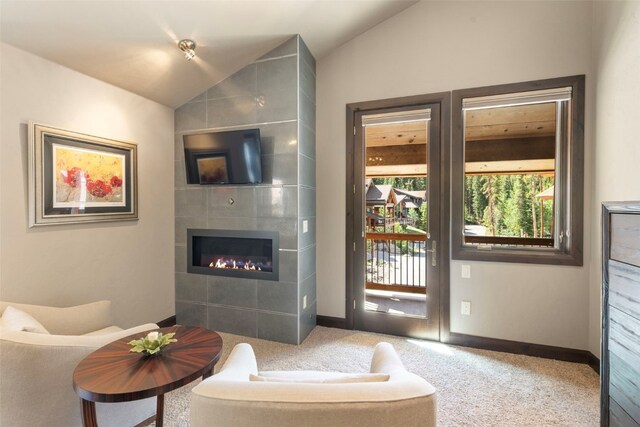 95 Victory Ln, Breckenridge, CO 80424 - photo 35
