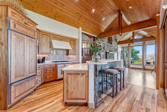 731 Lakeview Cir, Silverthorne, CO 80498 - kitchen with under cabinet range hood, oven, light countertops, light wood finished floors, and high vaulted ceiling