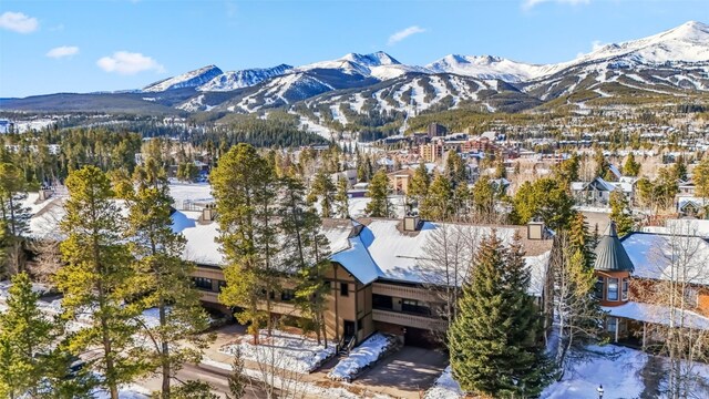 311 S High St Unit 209, Breckenridge, CO 80424 - photo 18