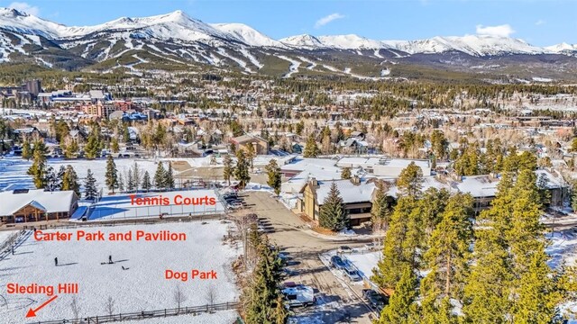 311 S High St Unit 209, Breckenridge, CO 80424 - photo 20