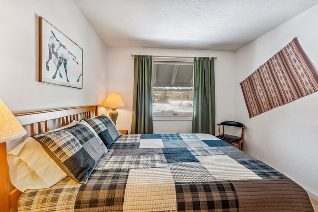 311 S High St Unit 209, Breckenridge, CO 80424 - photo 15