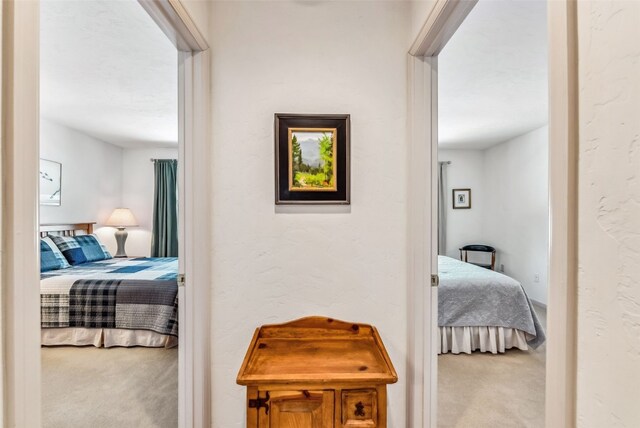 311 S High St Unit 209, Breckenridge, CO 80424 - photo 13