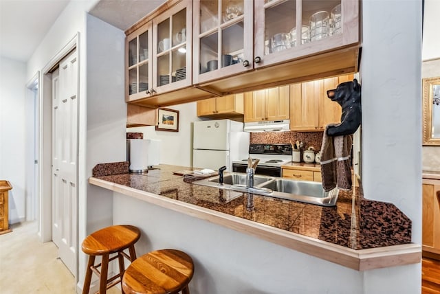 kitchen with freestanding refrigerator, tile countertops, under cabinet range hood, and electric range oven