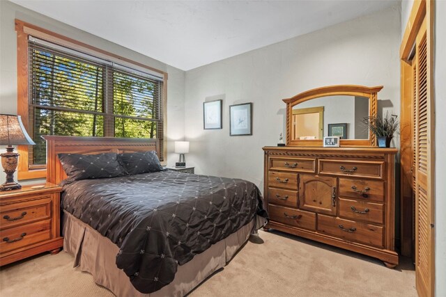 12 Big Boulder Ct Unit 13, Dillon, CO 80435 - photo 13