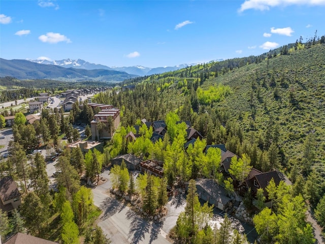 12 Big Boulder Ct Unit 13, Dillon, CO 80435 - photo 23