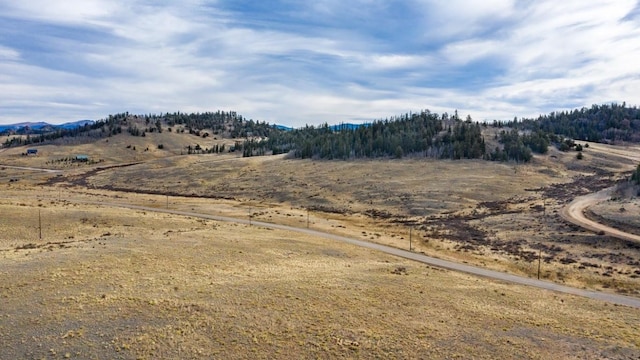 Listing photo 3 for 825 Gitche Goone Ln, Como CO 80432