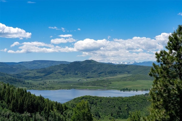 31500 Runaway Pl Unit 405, Steamboat Springs, CO 80487 - view of mountain background with a large body of water and a forest