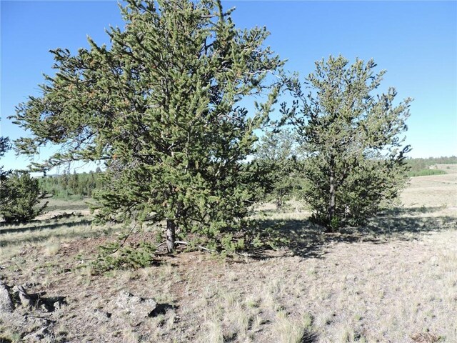 1369 Remington Rd, Como, CO 80432