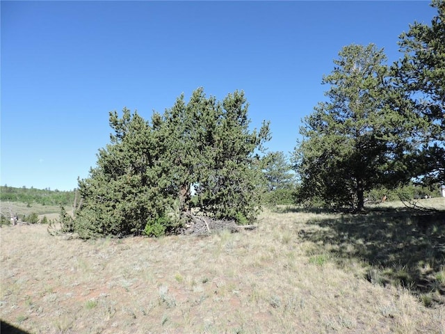 1369 Remington Rd, Como, CO 80432