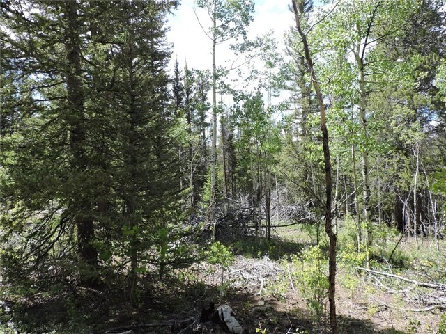 1369 Remington Rd, Como, CO 80432