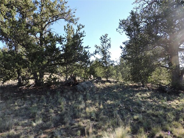 1369 Remington Rd, Como, CO 80432