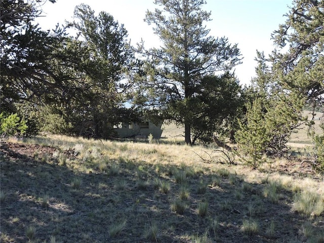 1369 Remington Rd, Como, CO 80432