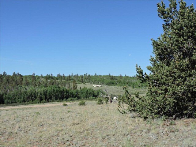 1369 Remington Rd, Como, CO 80432