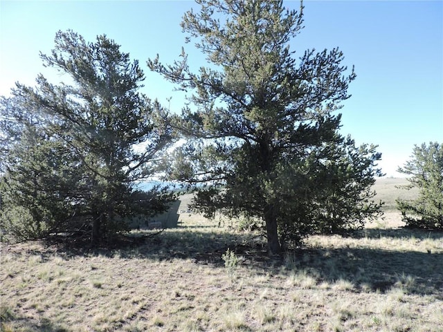 1369 Remington Rd, Como, CO 80432