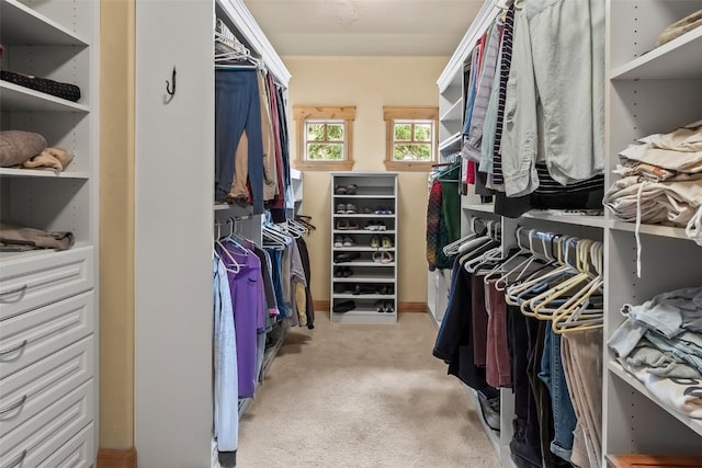 spacious closet with carpet