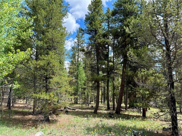250 Ski Doo Rd, Fairplay, CO 80440 - photo 9