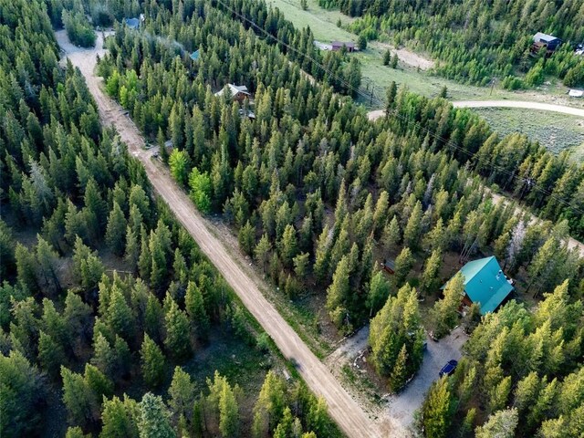 250 Ski Doo Rd, Fairplay, CO 80440 - photo 13