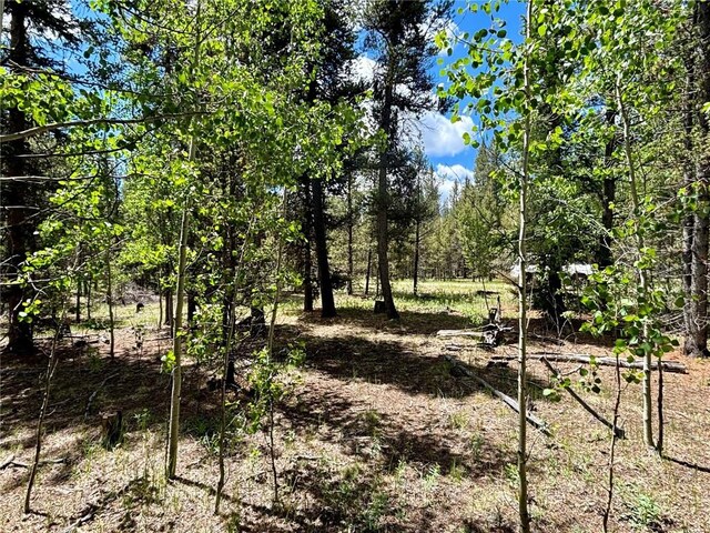 250 Ski Doo Rd, Fairplay, CO 80440 - photo 39