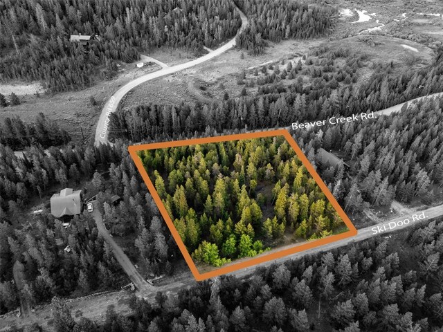 250 Ski Doo Rd, Fairplay, CO 80440 - photo 22