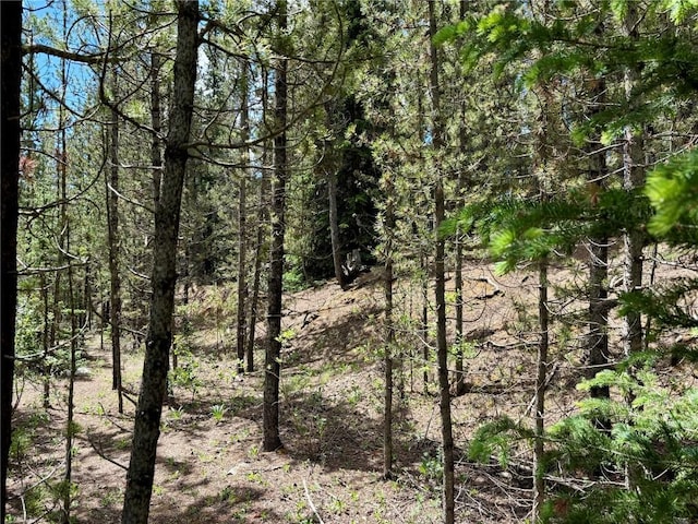 250 Ski Doo Rd, Fairplay, CO 80440 - photo 40