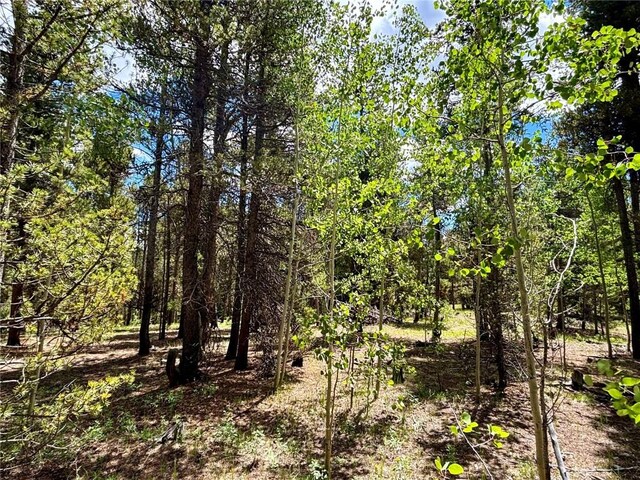 250 Ski Doo Rd, Fairplay, CO 80440 - photo 16
