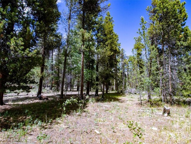 250 Ski Doo Rd, Fairplay, CO 80440