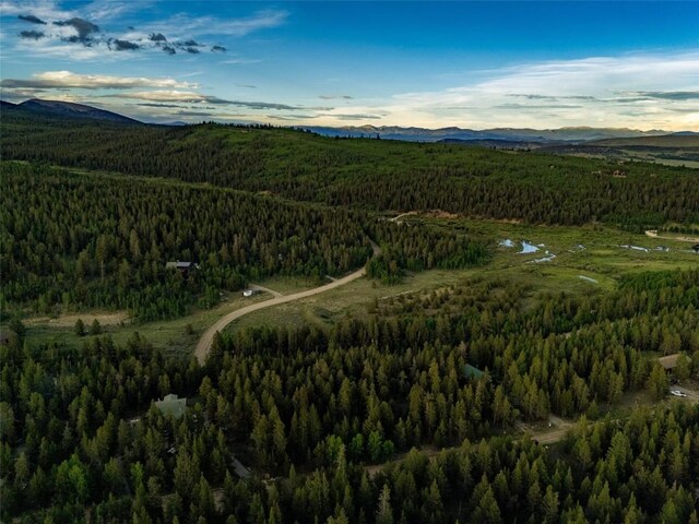 250 Ski Doo Rd, Fairplay, CO 80440