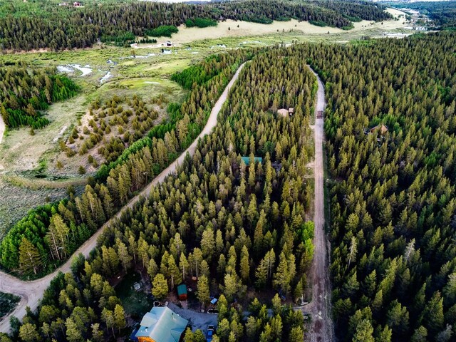 250 Ski Doo Rd, Fairplay, CO 80440