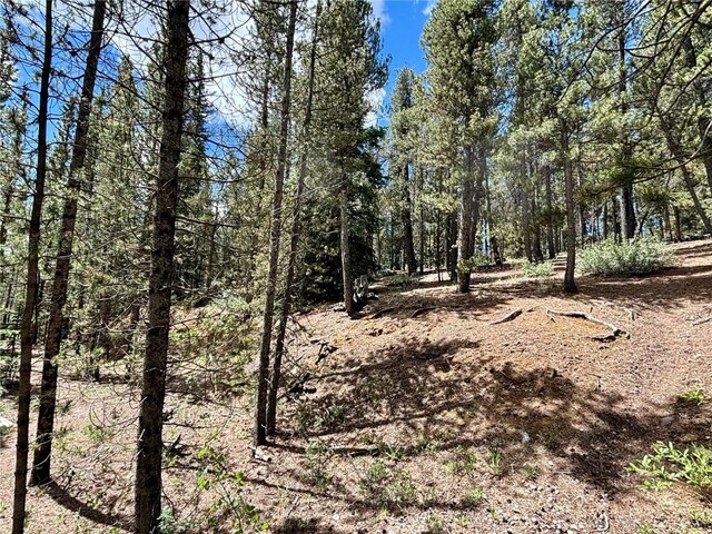 250 Ski Doo Rd, Fairplay, CO 80440 - photo 27