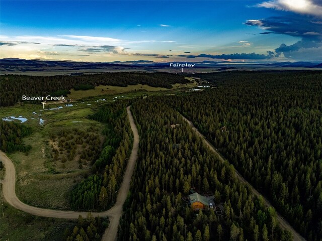 250 Ski Doo Rd, Fairplay, CO 80440 - photo 8