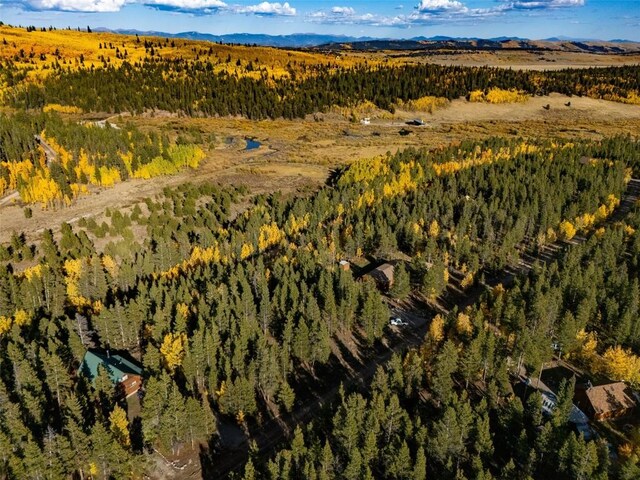 250 Ski Doo Rd, Fairplay, CO 80440 - photo 6