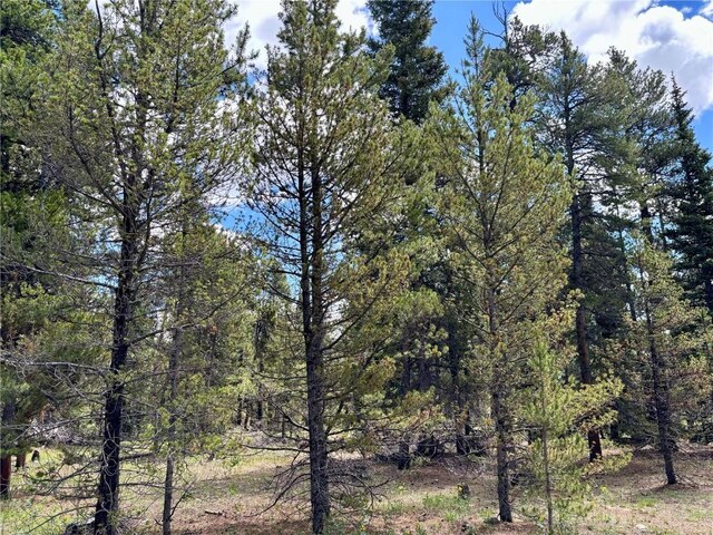 250 Ski Doo Rd, Fairplay, CO 80440 - photo 37