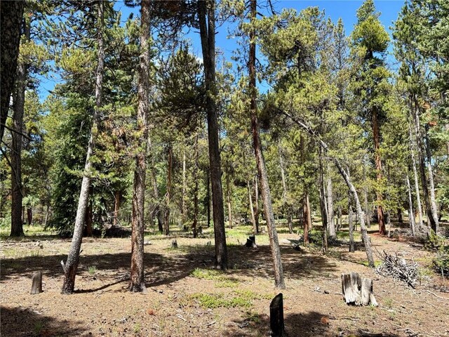 250 Ski Doo Rd, Fairplay, CO 80440 - photo 21