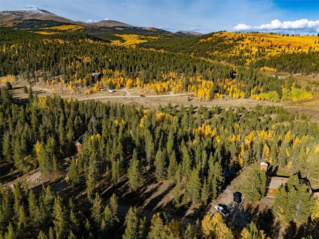 250 Ski Doo Rd, Fairplay, CO 80440