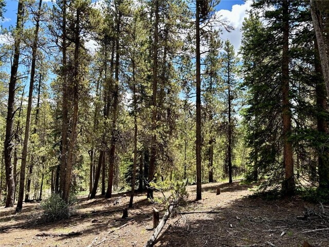 250 Ski Doo Rd, Fairplay, CO 80440 - photo 38